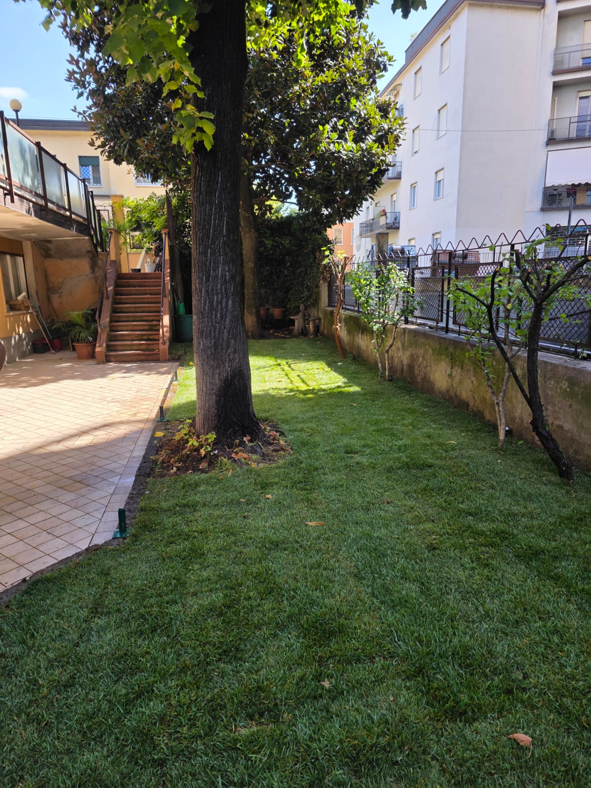 Giardino condominiale con prato e alberi a servizio dello studentato